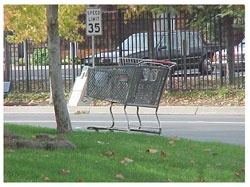 Shopping Cart