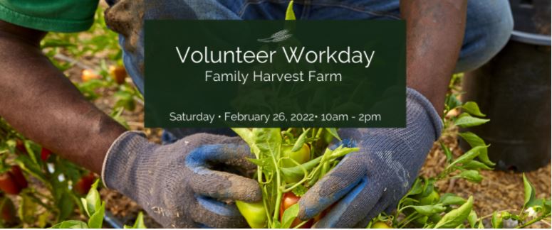 Family Harvest Farm Volunteer